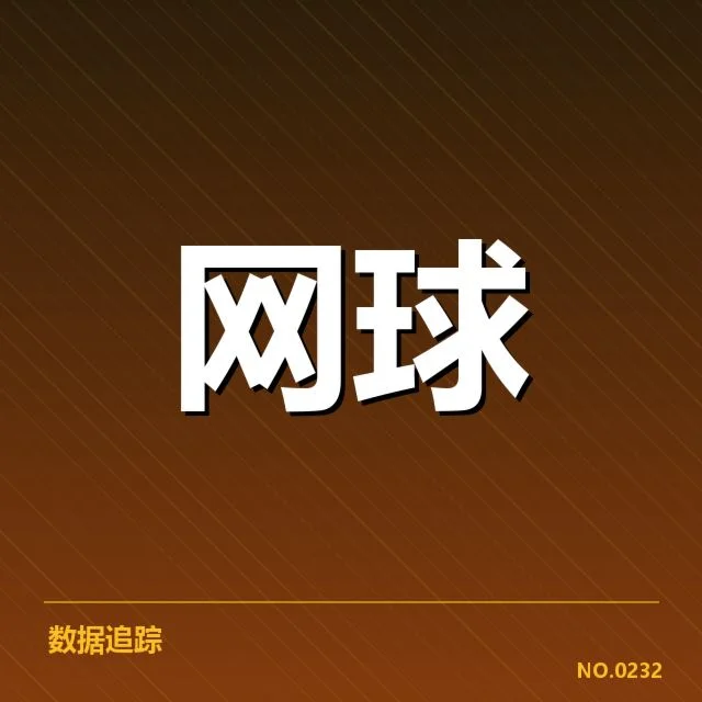 国内新星已取得的重要赛事成绩